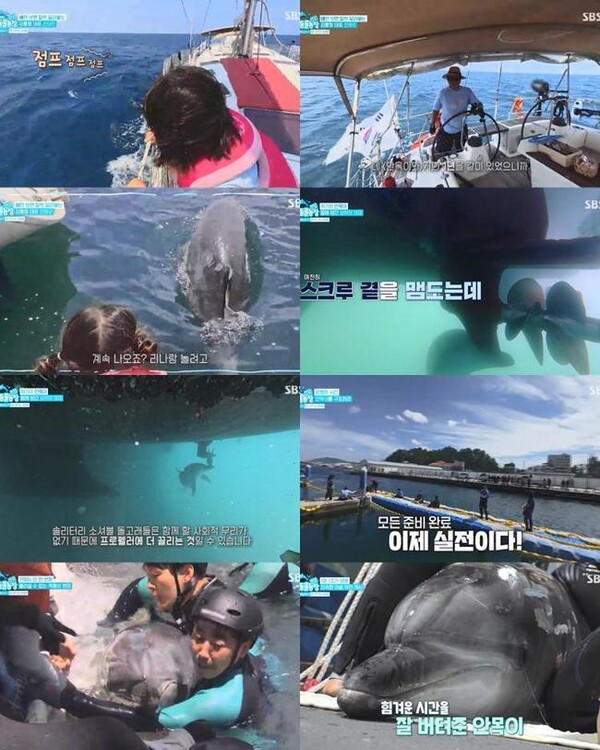 SBS 'TV 동물농장'에서 여름방학 특집으로 방영된 에피소드가 많은 이들의 주목을 받았다. 온라인 캡쳐